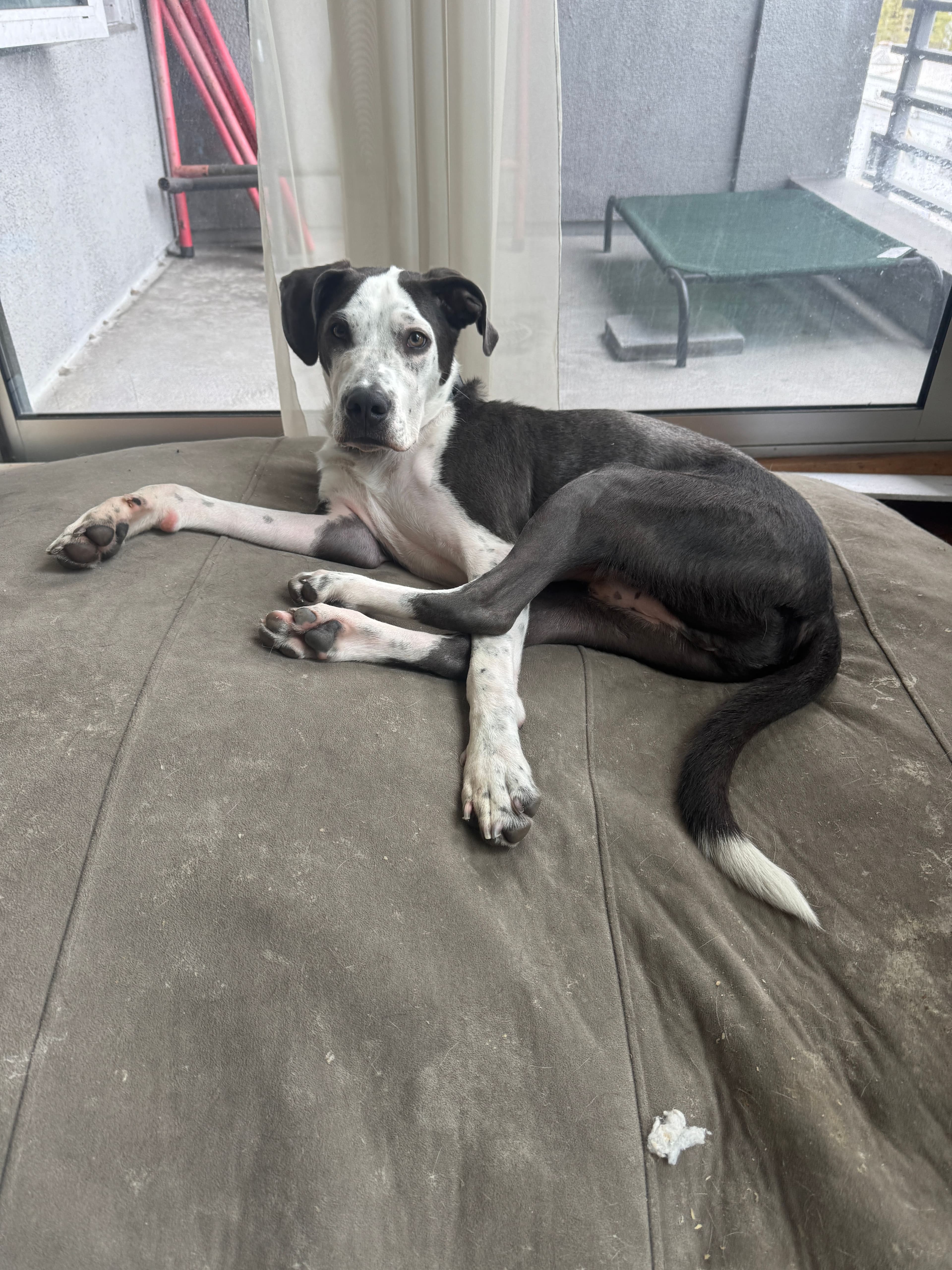 Lounging an scrounging